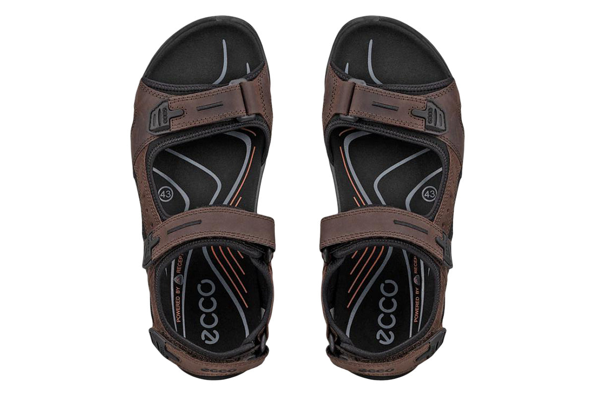 Ecco Offroad Mocha/Mocha Mens #color_brown-dark-brown