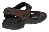 Ecco Offroad Mocha/Mocha Mens #color_brown-dark-brown
