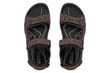 Ecco Offroad Mocha/Mocha Mens #color_brown-dark-brown
